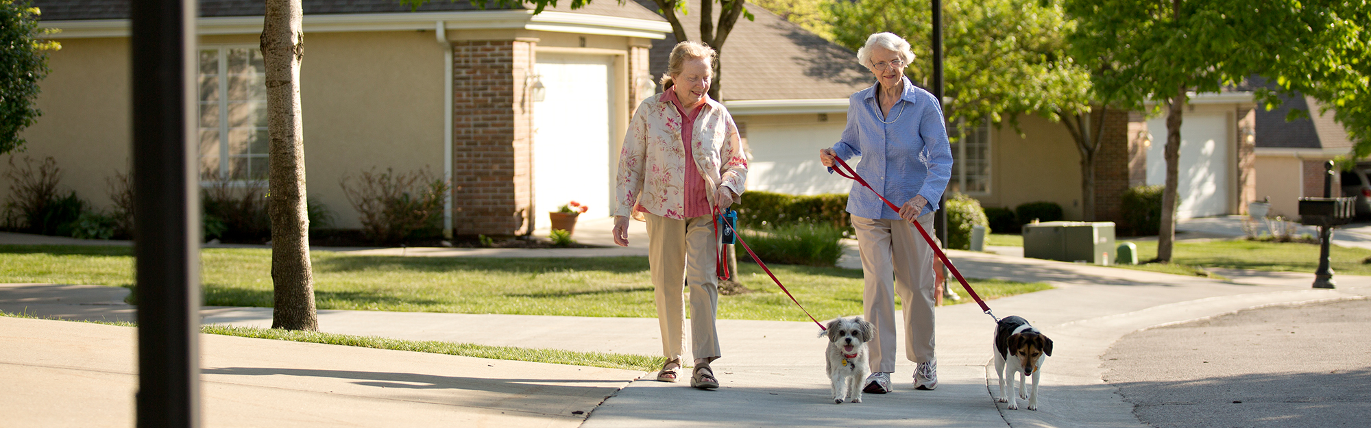 Two ladies walking their dogs at Kingswood Senior Living Located in Kansas City, MO. We are pet friendly.